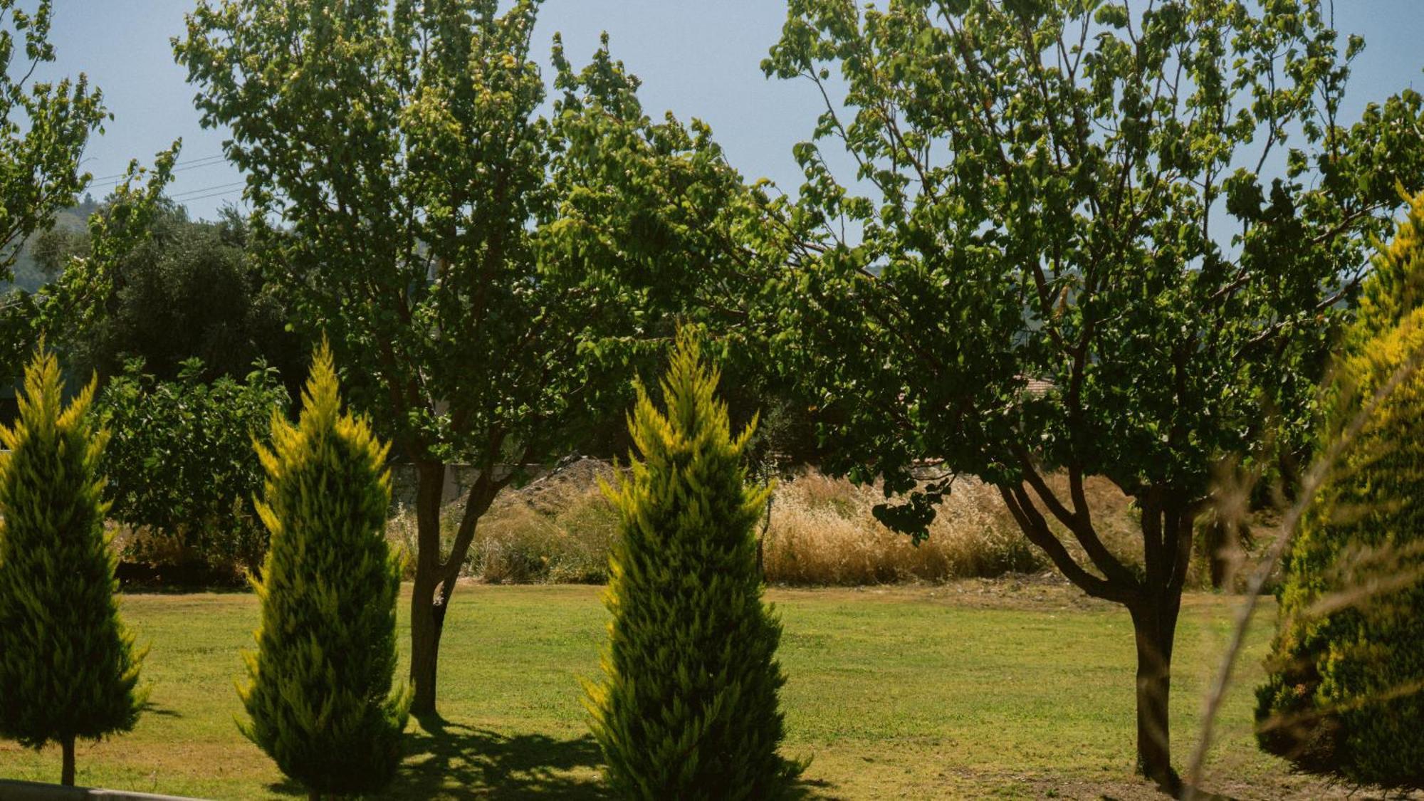 Vela Garden Resort Alacati Exterior foto